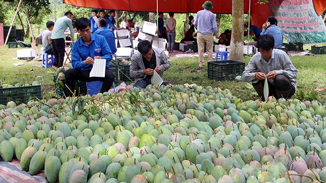 Ngày Đặc sản Sơn La trên Sàn thương mại điện tử Sendo