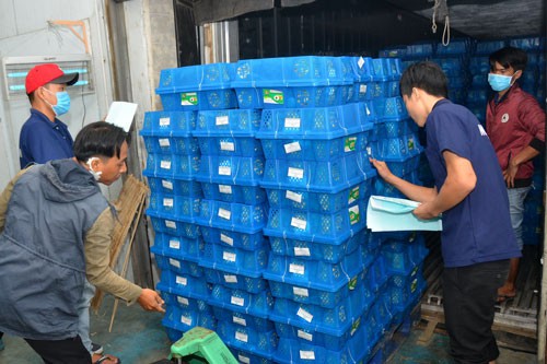 Quý I: Việt Nam xuất siêu hơn 18,5 tỷ USD sang Mỹ