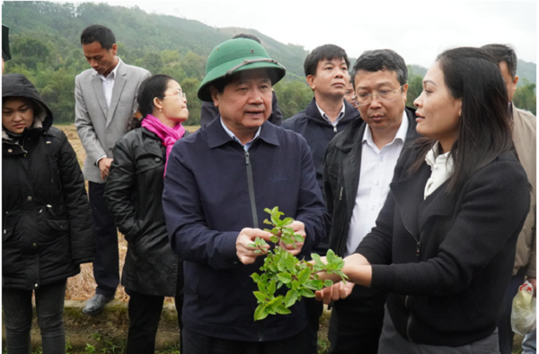 Ông Lê Quốc Doanh, Thứ trưởng Bộ NN&PTNT trực tiếp xuống ruộng thăm, kiểm tra tình hình sản xuất thạch đen tại xã Tân Tiến (Tràng Định, Lạng Sơn)