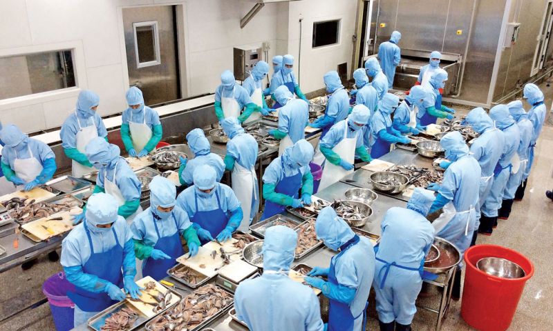 Bộ LĐ-TBXH đề xuất đóng BHXH 10 - 15 năm có thể được nhận lương hưu