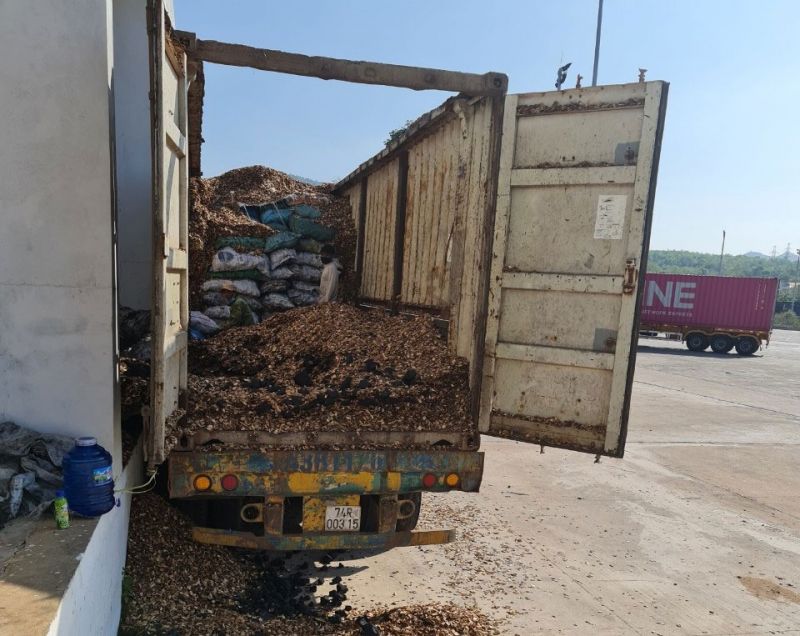 Lô hàng nghi than đá trên một xe chở gỗ dăm xuất khẩu tại cửa khẩu quốc tế Lao Bảo