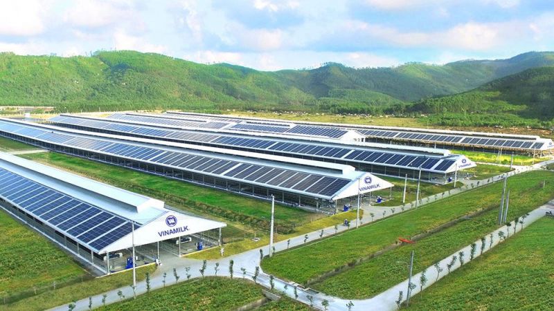 Hệ thống trang trại Vinamilk Green Farm (tại Quảng Ngãi, Tây Ninh, Thanh Hóa) sẽ được Vinamilk đầu tư phát triển trong thời gian tới