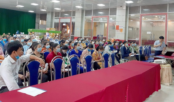 Tuyên Quang: Tập huấn kỹ thuật ứng dụng công nghệ tưới phun mưa cho chè