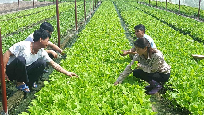 Hà Nội: 5 địa danh được đăng ký bảo hộ nhãn hiệu tập thể