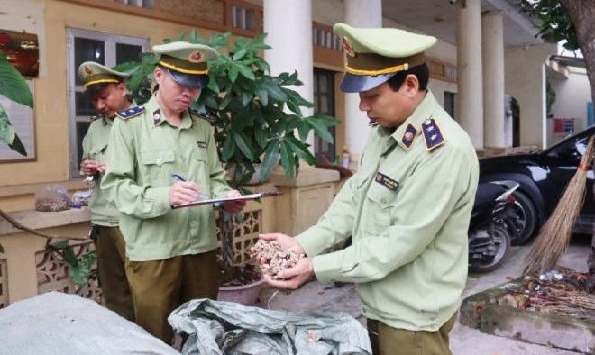 Lực lượng QLTT Lạng Sơn bắt giữ lô hàng nguyên liệu thuốc bắc nhập lậu