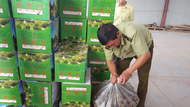 Bộ Công Thương: Rà soát cơ chế, chính sách ngăn chặn gian lận thương mại, hàng giả