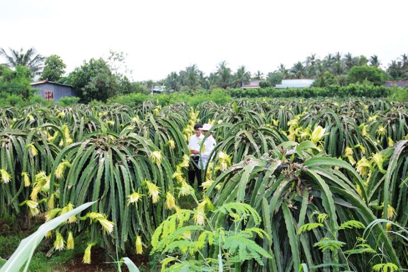 Agribank luôn tiên phong, nghiêm túc thực thi hiệu quả chính sách tiền tệ, khẳng định vai trò chủ lực trong phát triển Agribank luôn tiên phong, nghiêm túc thực thi hiệu quả chính sách tiền tệ, khẳng định vai trò chủ lực trong phát triển