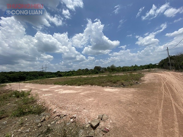 Các lô đất mà Công ty TNHH Bất động sản Ngô Gia Group đang quảng cáo, rao bán. Các lô đất mà Công ty TNHH Bất động sản Ngô Gia Group đang quảng cáo, rao bán.