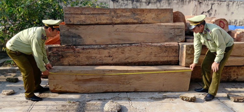 Hơn 9 m3 gỗ không có hồ sơ lâm sản hợp pháp bị lực lượng chức năng tỉnh Tiền Giang phát hiện và tịch thu