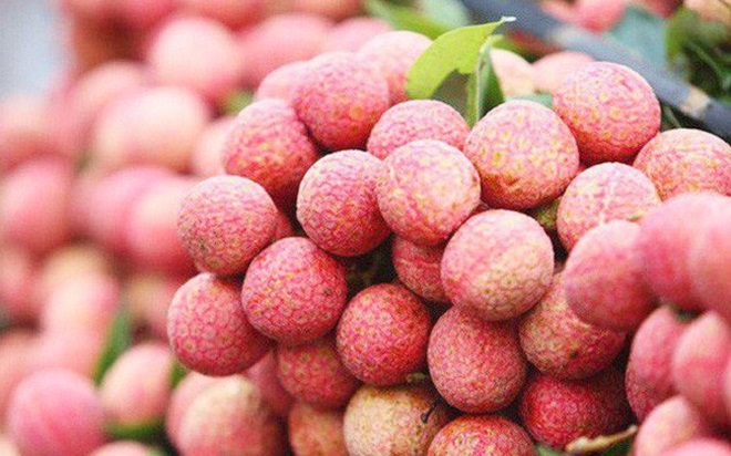 Bắc Giang: 5 doanh nghiệp thu mua, xuất khẩu vải thiều sang thị trường Nhật Bản