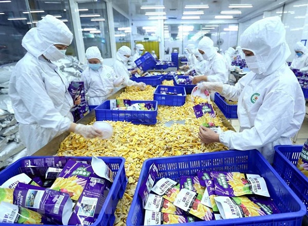 Ngày càng có nhiều sản phẩm nông nghiệp và nông thôn của Việt Nam được xây dựng thương hiệu