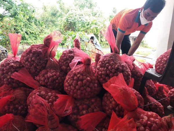 Hỗ trợ tiêu thụ hành tím Vĩnh Châu 3 sao OCOP trên nền tảng thương mại điện tử và “Gian hàng Việt trực tuyến”