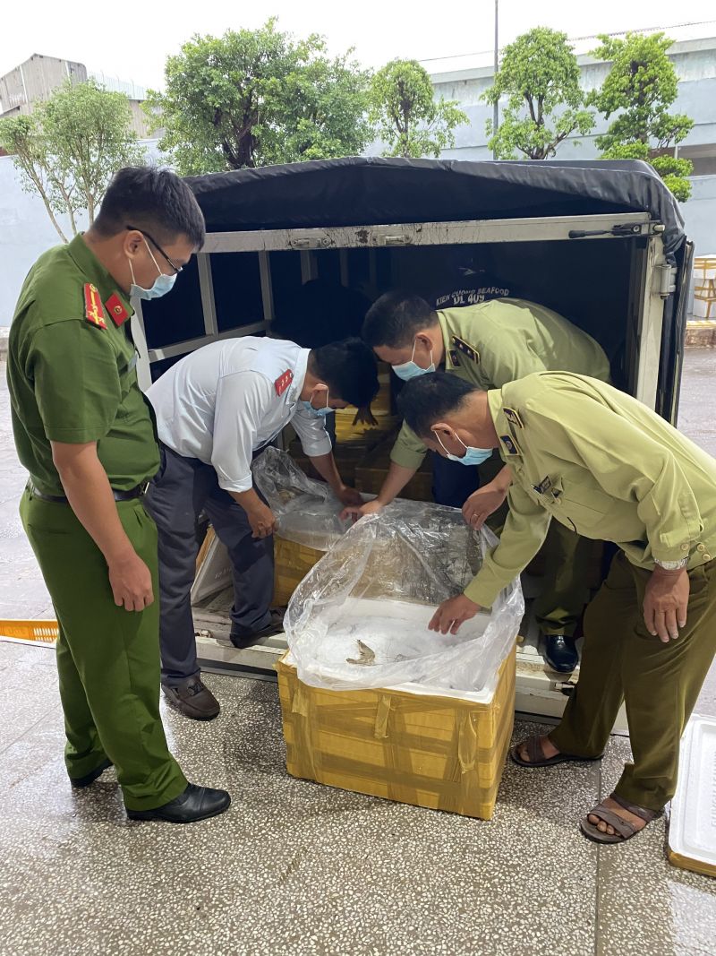 Lực lượng chức năng tỉnh Kiên Giang phát hiện 300 kg tôm chứa tạp chất