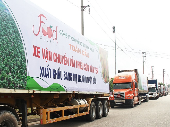 Ngày 26/5, 20 tấn vải thiều sớm của huyện Tân Yên, tỉnh Bắc Giang đã được xuất khẩu sang Nhật.