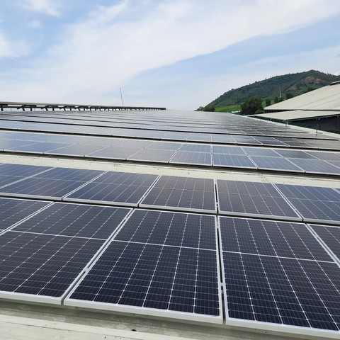 Điện mặt trời - Nguồn năng lượng xanh trong chiến lược phát triển bền vững của Tập đoàn TH