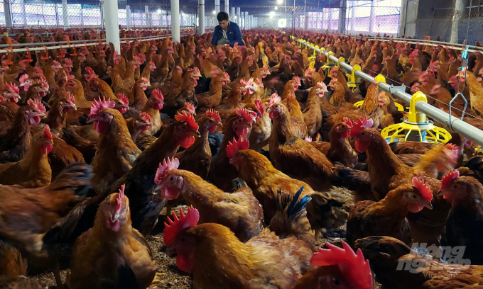 Hà Tĩnh: Một doanh nghiệp bị xử phạt hơn 400 triệu đồng