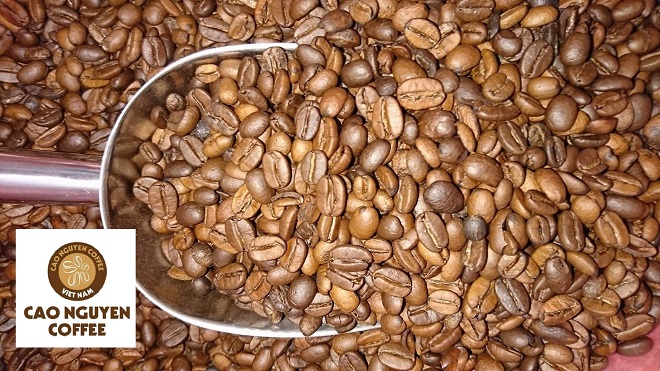 Giá cà phê ngày 1/6: Thị trường thế giới tiếp đà tăng