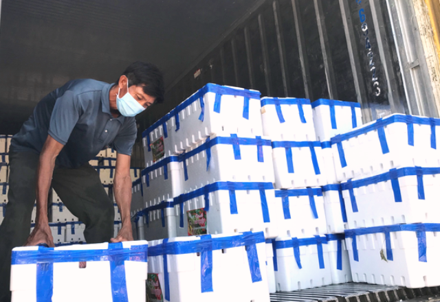 1.000 thùng (16 tấn) vải thiều loại 1 đã được xử lý, khử trùng và đóng thùng theo tiêu chuẩn xuất khẩu trên xe container từ Bắc Giang chuyển vào TP.Đà Nẵng