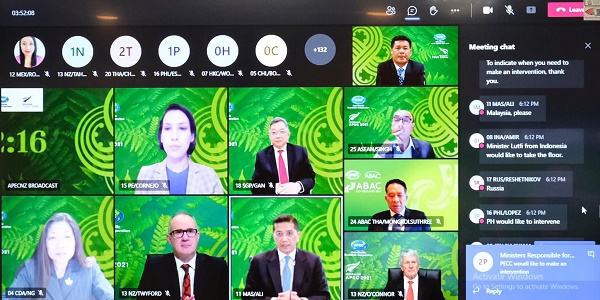 Hội nghị Bộ trưởng Thương mại APEC lần thứ 27: Nhiều biện pháp ứng phó với đại dịch Covid-19