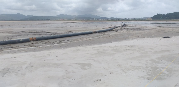 Thanh tra tỉnh Quảng Ninh: Dự án nạo vét luồng, khai thác cát của Công ty Quan Minh không làm chết sá sùng
