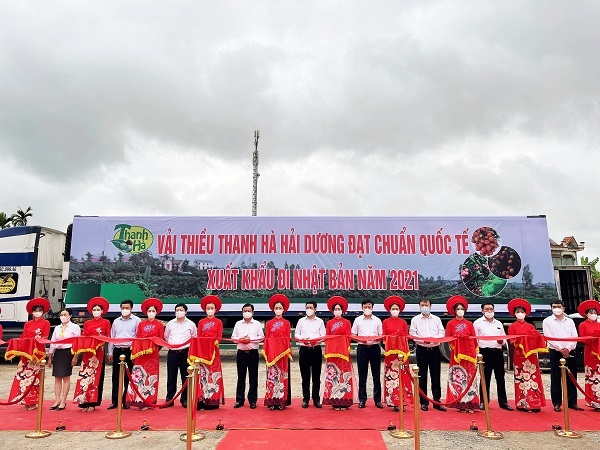 Hải Dương: Vải thiều Thanh Hà lần đầu xuất khẩu sang Thái Lan