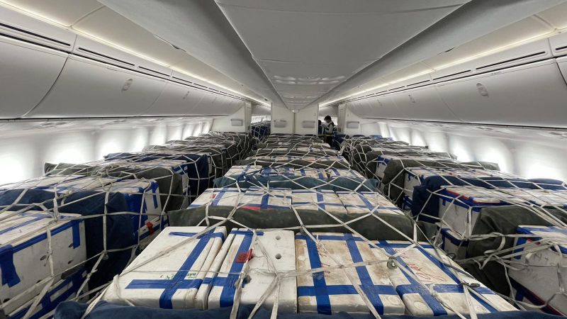 Siêu máy bay Boeing 787-9 chở vải thiều Bắc Giang vào TP. HCM