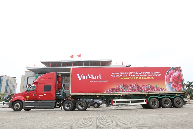 Xe vận chuyển vải thiều Lục Ngạn - Bắc Giang đến chuỗi siêu thị VinMart_VinMart+