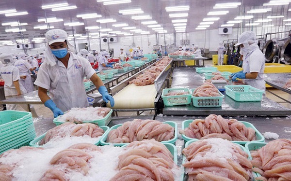 Trung Quốc tạm ngừng nhập khẩu thực phẩm đông lạnh từ Việt Nam tại cảng Trạm Giang
