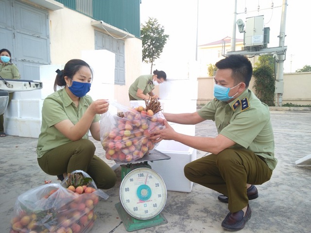 Cục Quản lý thị trường tỉnh Thanh Hóa hỗ trợ tiêu thụ hơn 110 tấn vải thiều Bắc Giang