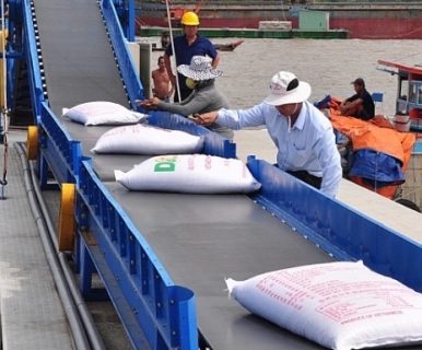 Từ 2022, thực hiện hạn ngạch thuế quan đối với gạo xuất khẩu theo Hiệp định EVFTA