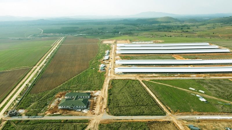 Tổ hợp trang trại tại Lào của Vinamilk đã hoàn thiện các hạng mục xây dựng cơ bản của cụm trang trại đầu tiên, dự kiến đi vào hoạt động vào đầu năm 2022