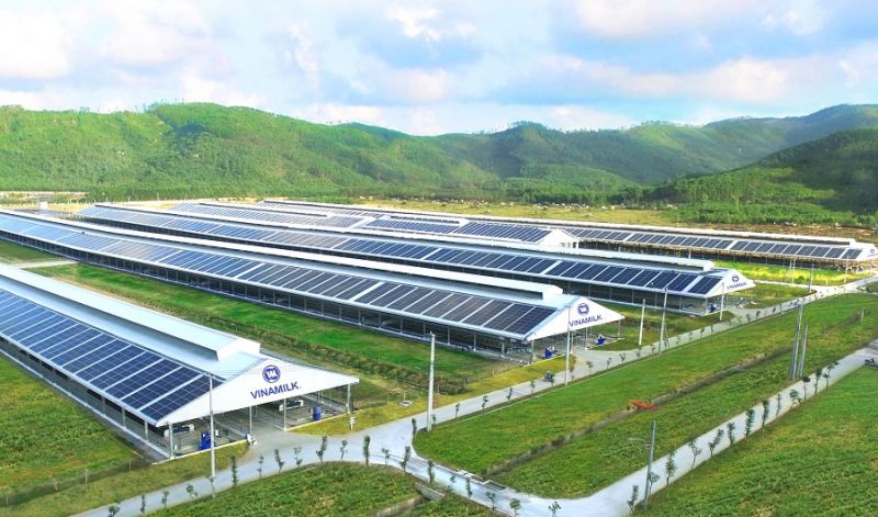 Hệ thống năng lượng mặt trời là dấu chân xanh nổi bật trong việc sử dụng năng lượng tái tạo vào hoạt động sản xuất kinh doanh của Vinamilk