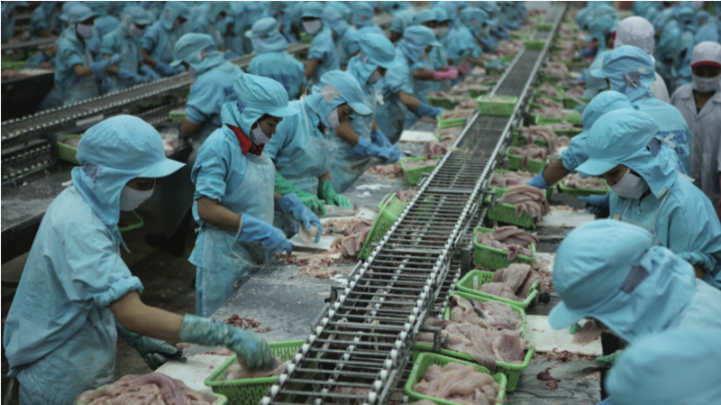 Kim ngạch xuất khẩu nông lâm sản và thủy sản đạt 22,58 tỷ USD