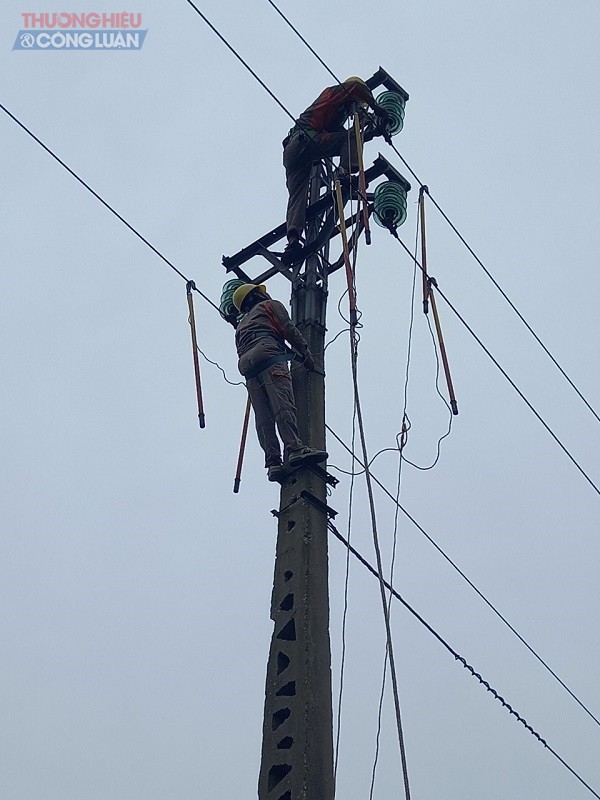 Công nhân Đội quản lý vận hành xử lý sự cố lưới điện sau bão