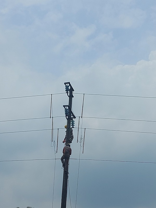 Điện lực Hải Phòng: Kịp thời khắc phục sự cố lưới điện do ảnh hưởng của cơn bão số 2 tại huyện Vĩnh Bảo