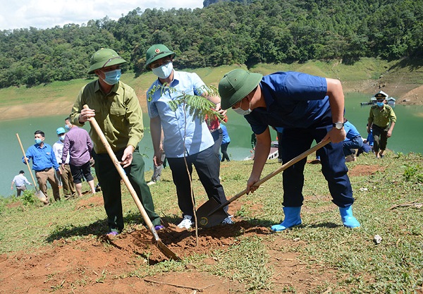 Tuyên Quang: Trồng 0,5 ha cây lim xẹt và đào rừng tại khu vực thác Khuổi Nhi