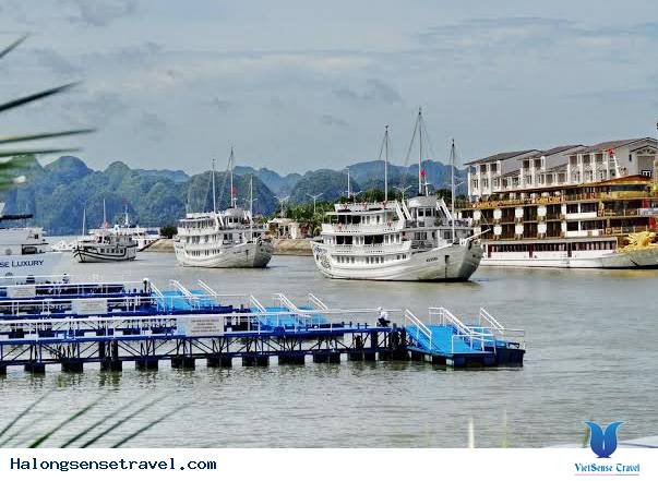 Miễn phí vé tham quan vịnh Hạ Long, Yên Tử