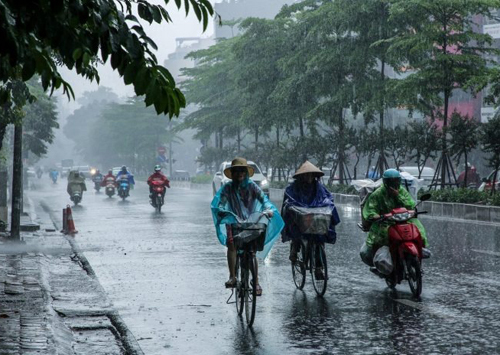 Từ chiều tối và đêm nay khu vực vùng núi và trung du Bắc Bộ có mưa vừa, mưa to, có nơi mưa rất to