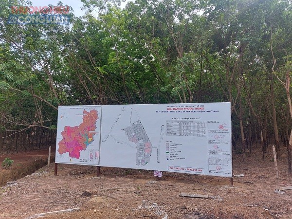 Dự án KDC Phước Thắng vẫn còn là rừng cao su bạt ngàn.