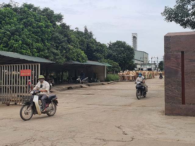 Huyện Thanh Chương (Nghệ An): Yêu cầu dừng hoạt động sản xuất gỗ bóc trái phép