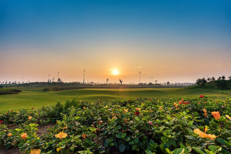 Sân golf tại quần thể nghỉ dưỡng FLC Sầm Sơn (Thanh Hoá)