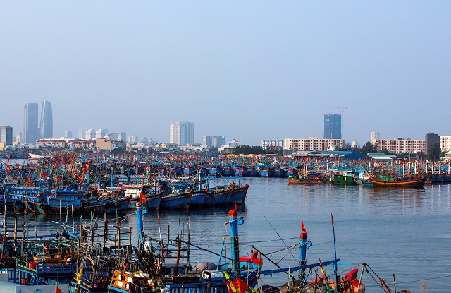 Cảng cá Thọ Quang được phong tỏa tạm thời.