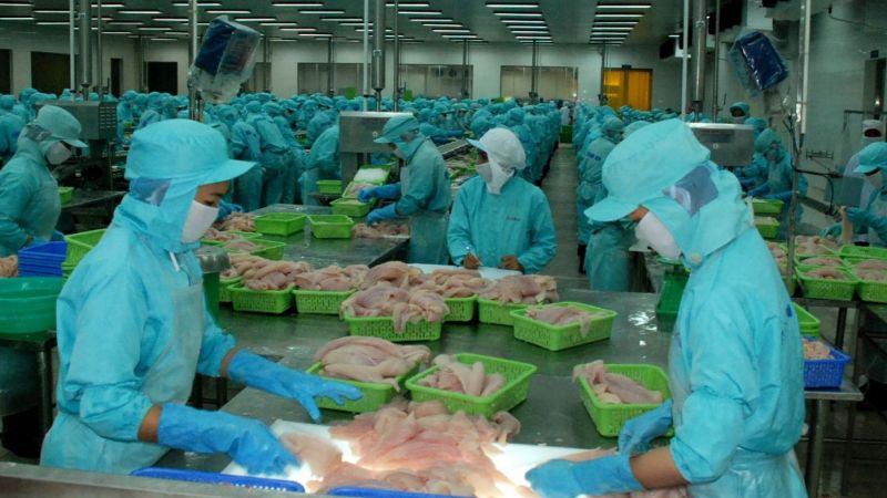 Tổng kim ngạch xuất khẩu nông, lâm, thủy sản 6 tháng đạt hơn 24,23 tỷ USD