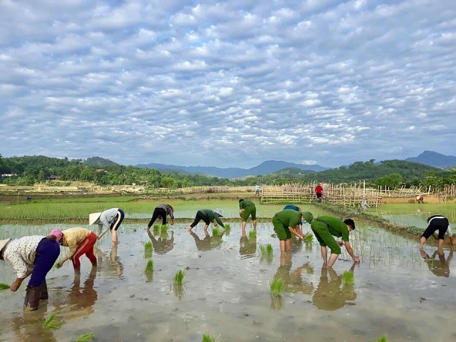 Công an Thanh Hóa lội bùn giúp dân cấy lúa giữa đại dịch Covid-19