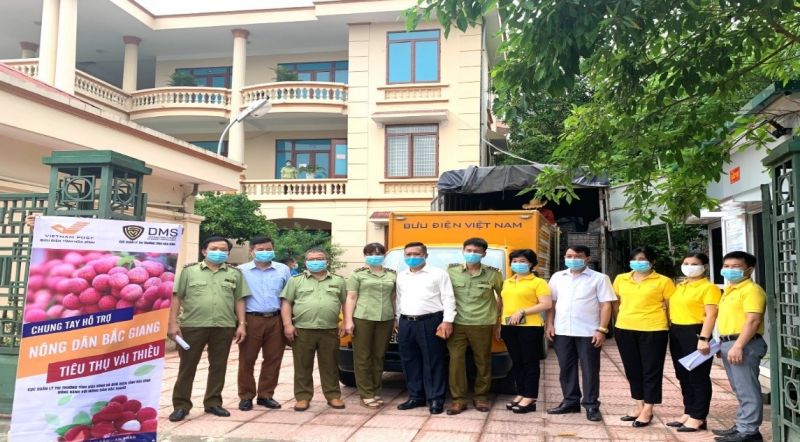 Lực lượng QLTT và Bưu điện tỉnh kết nối hỗ trợ tiêu thụ vải thiều Bắc Giang