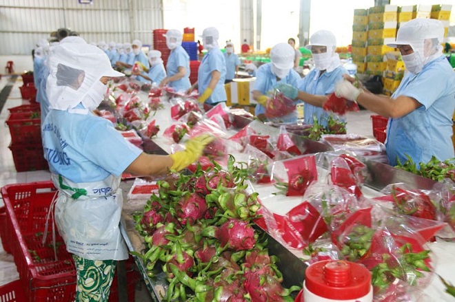 Bộ Công Thương và Bộ NN&PTNT phối hợp nâng cao giá trị nông sản Việt (Ảnh minh họa)