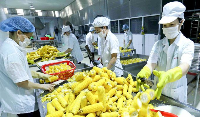 Nhiều giải pháp cho phát triển xuất khẩu bền vững trong những tháng cuối năm