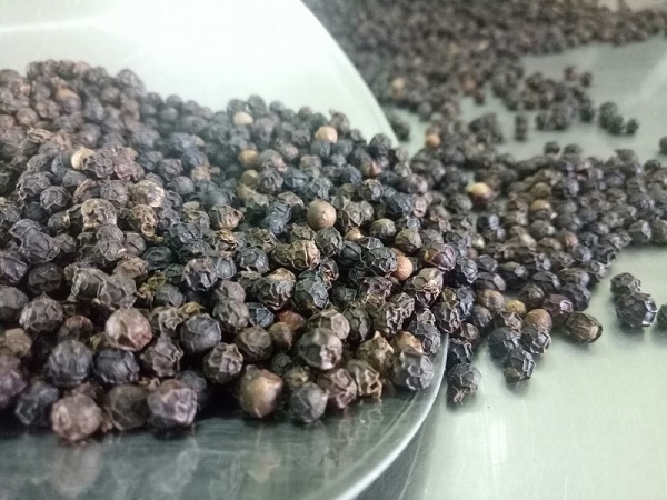 Giá tiêu ngày 7/7: Trong nước giao dịch ở mức 72.000 – 75.500 đ/kg
