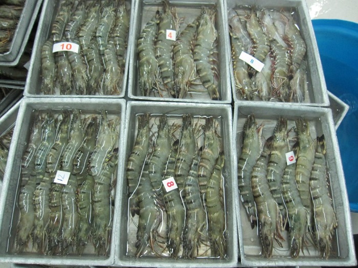 Mỹ đánh thuế chống bán phá giá cao với tôm Ấn Độ