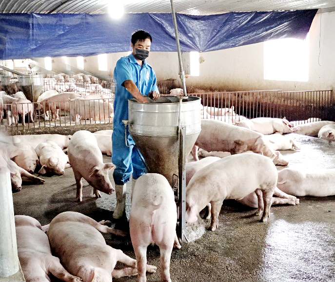 Hỗ trợ doanh nghiệp, khách hàng ổn định sản xuất, kinh doanh